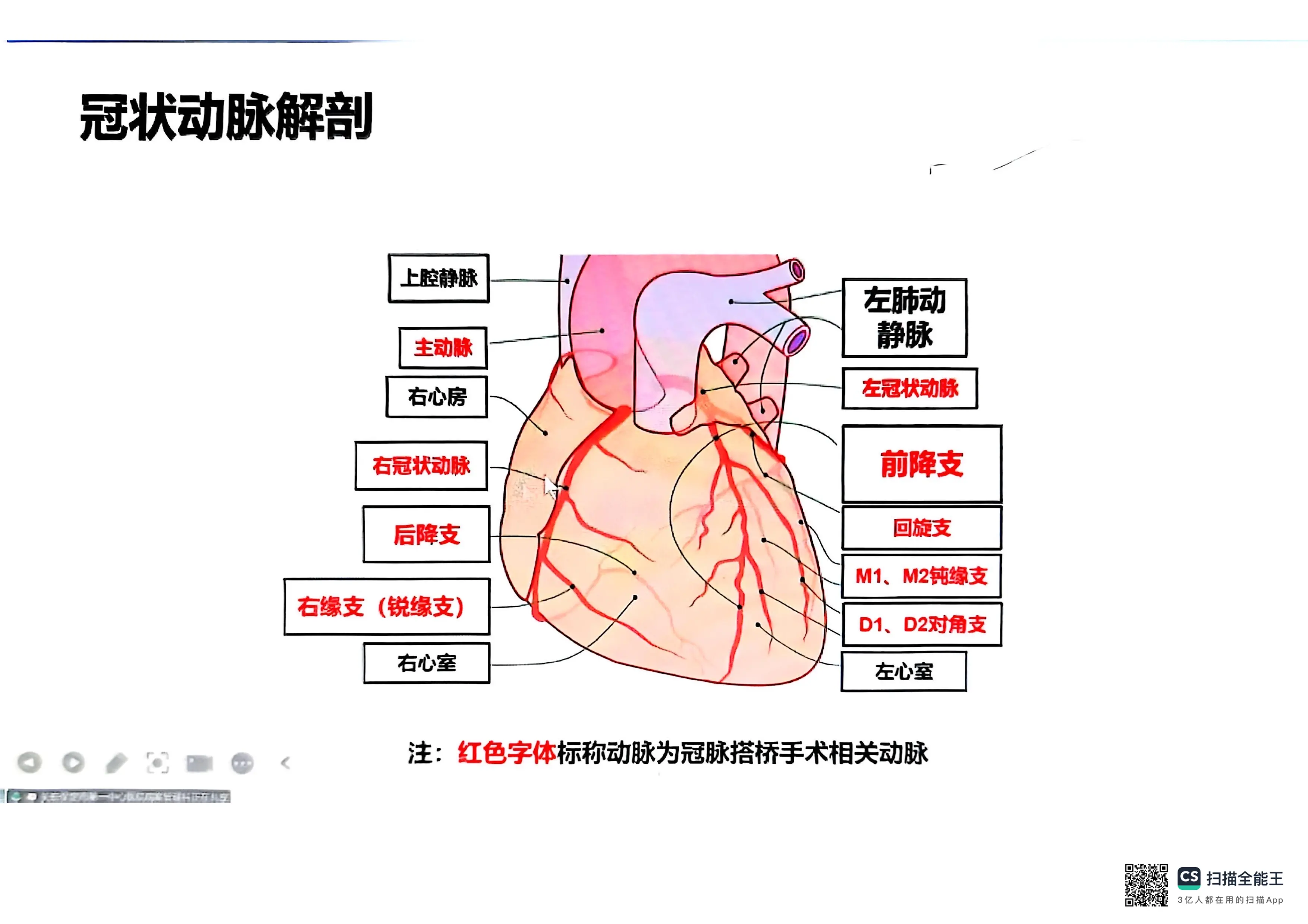 冠状动脉旁路移植术的ICD-9-CM-3编码.pdf_第3页