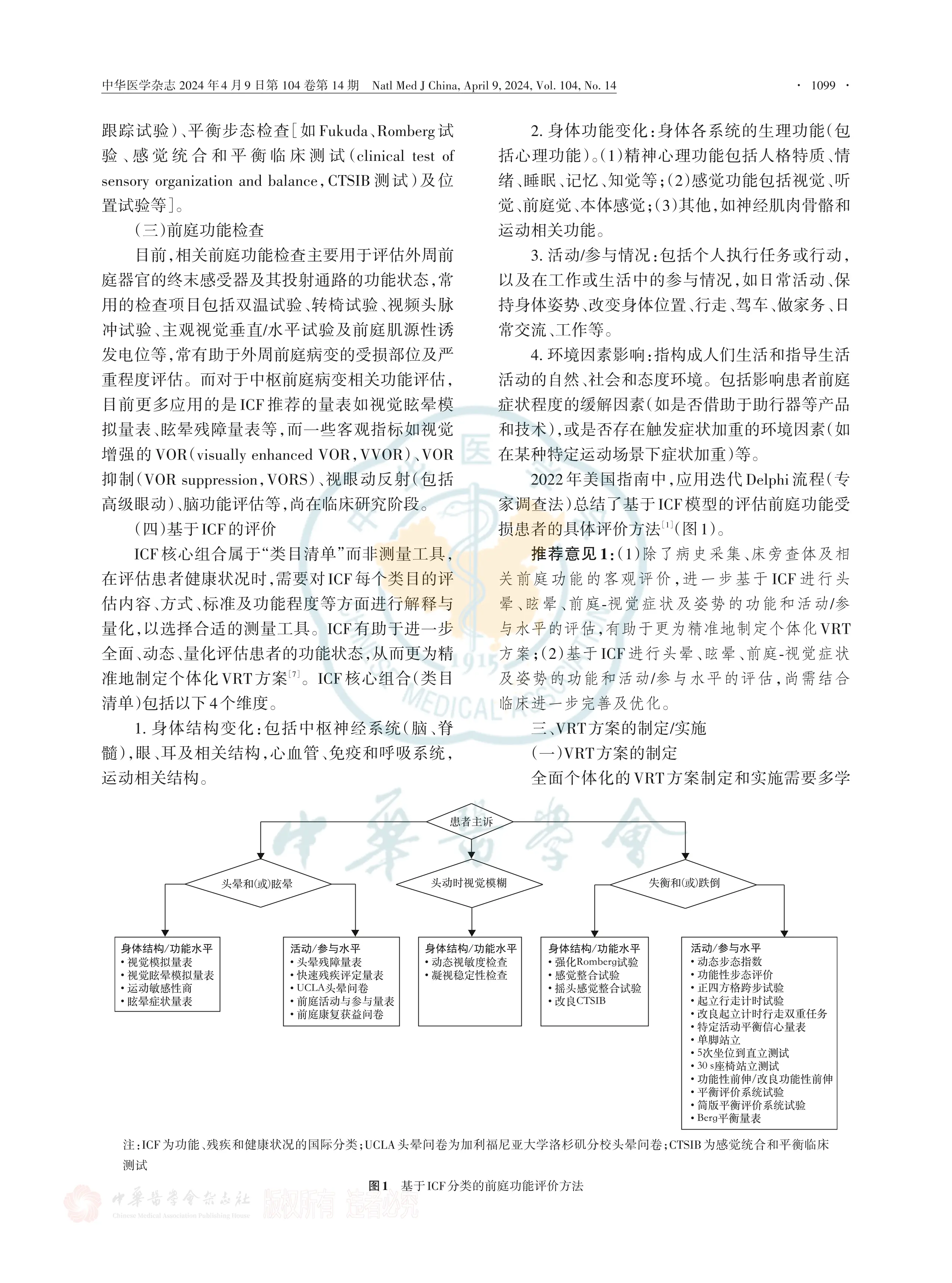 前庭疾病前庭康复专家共识2024_第3页