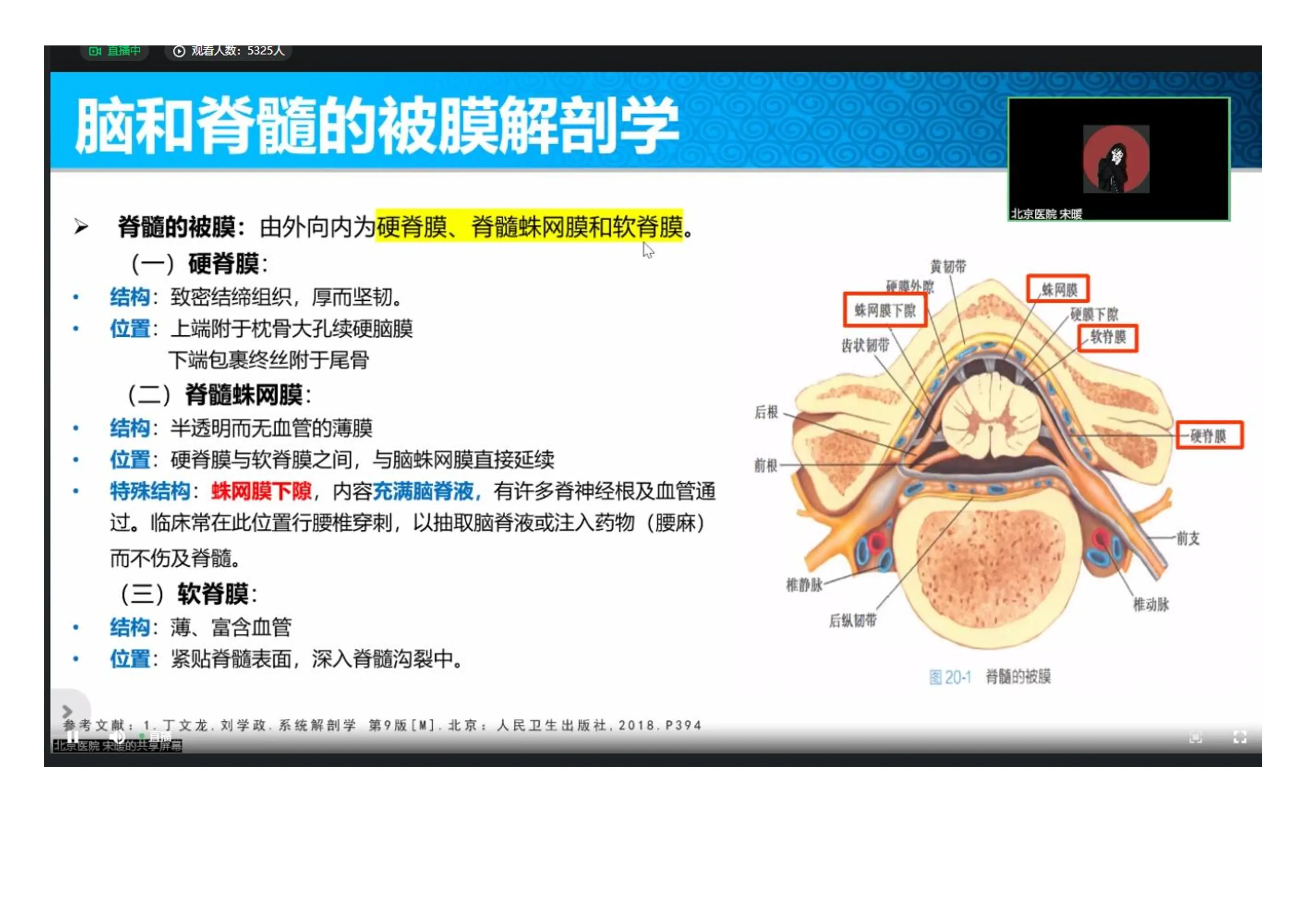 脑积水诊断及相关治疗编码.pdf_第2页