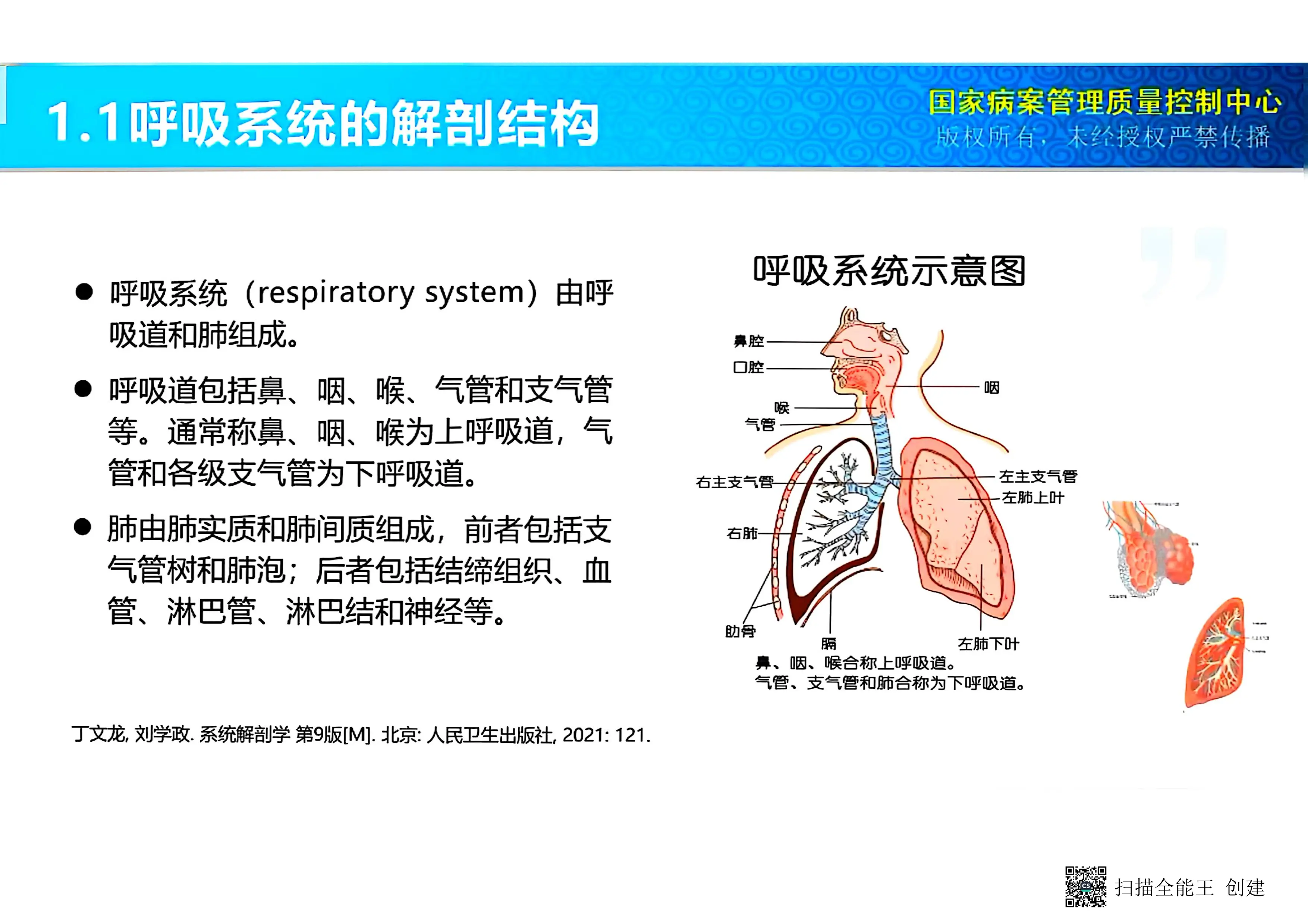 肺炎的分类和诊断编码.pdf_第1页