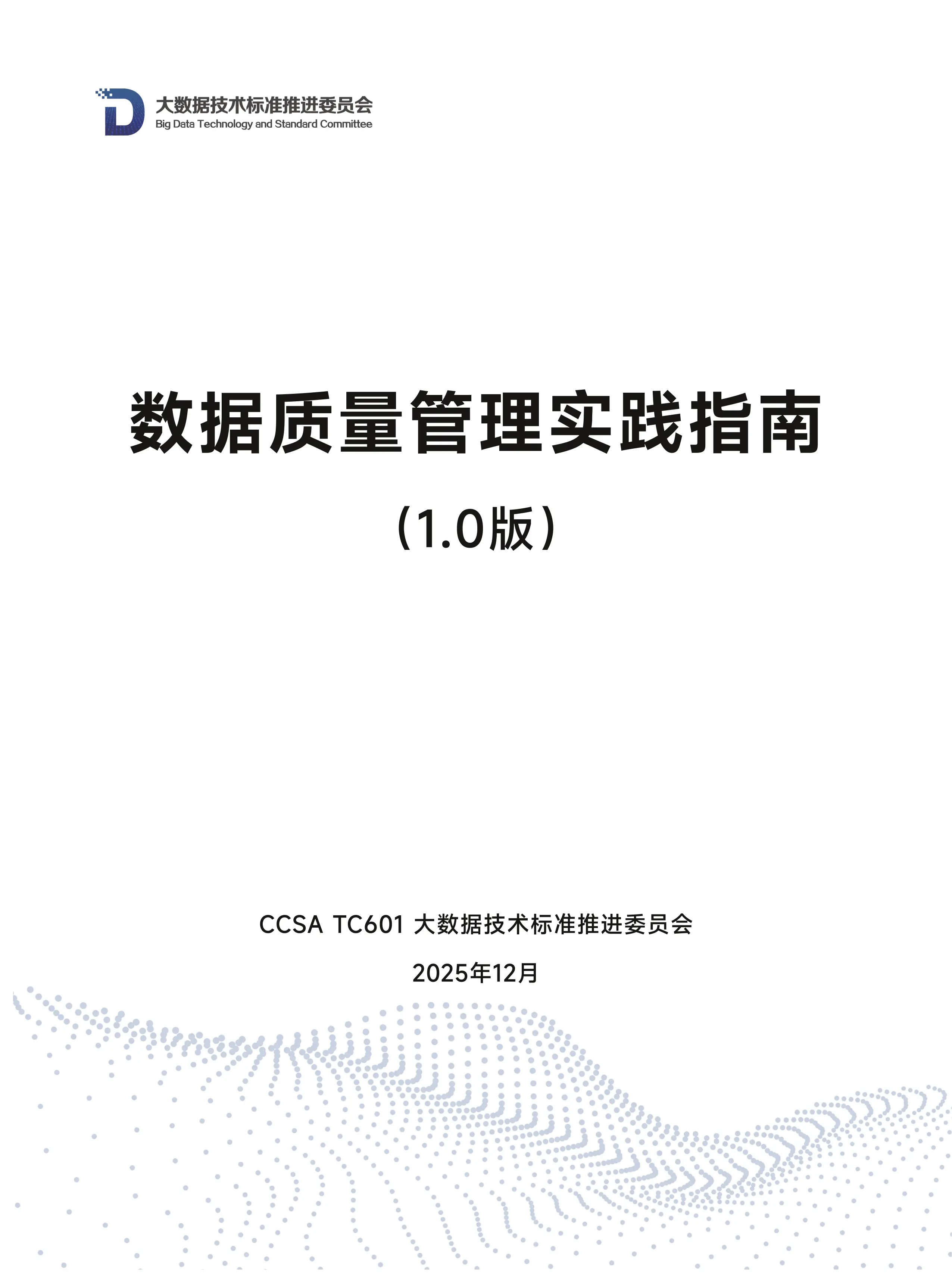 数据质量管理实践指南1.0_第1页