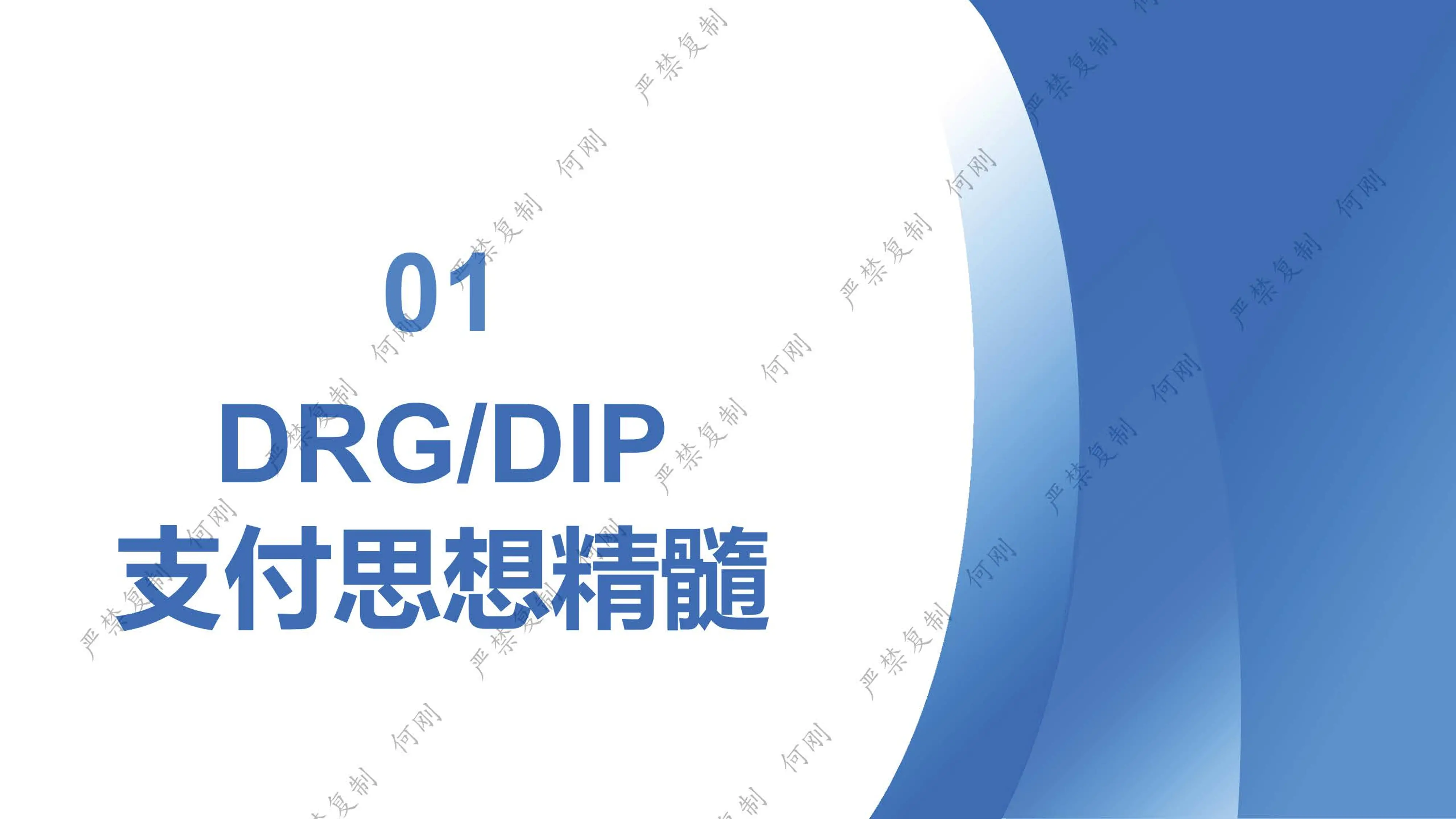 DRGDIP2.0简介.pdf_第2页