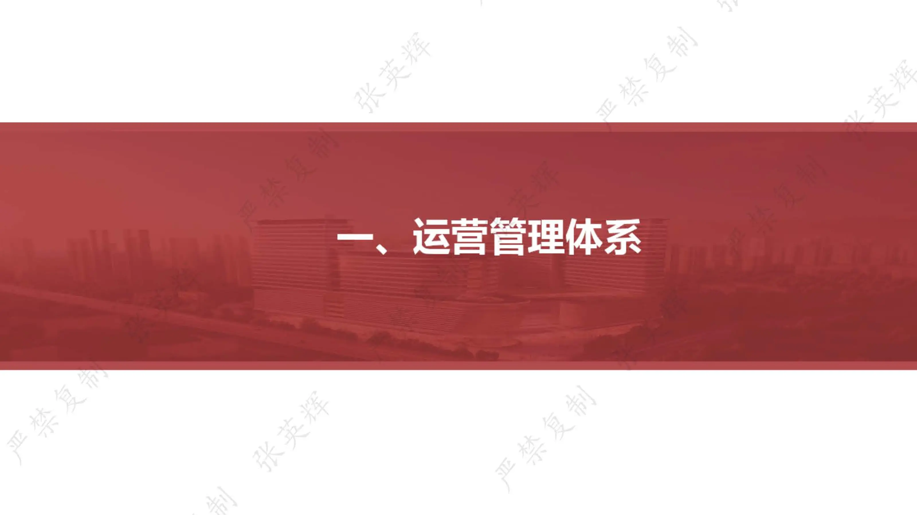国考、双D背景下医院运营改革策略.pdf_第3页