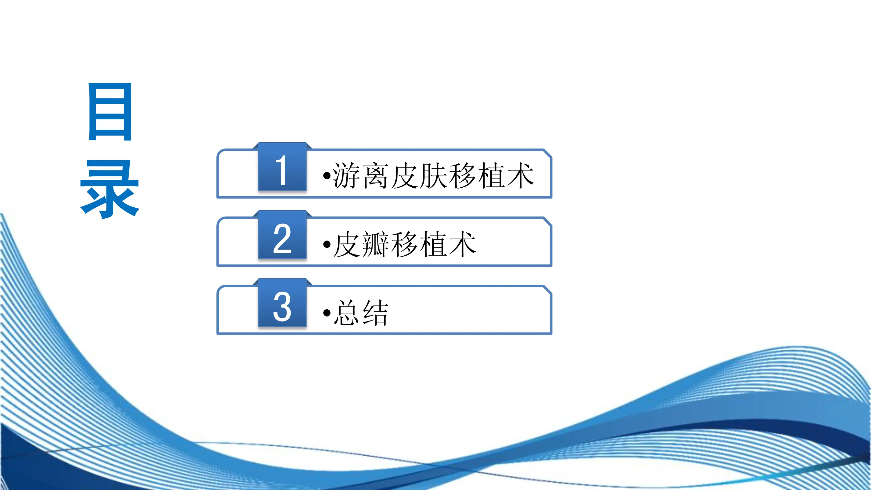 皮肤移植术编码要点.pdf_第3页