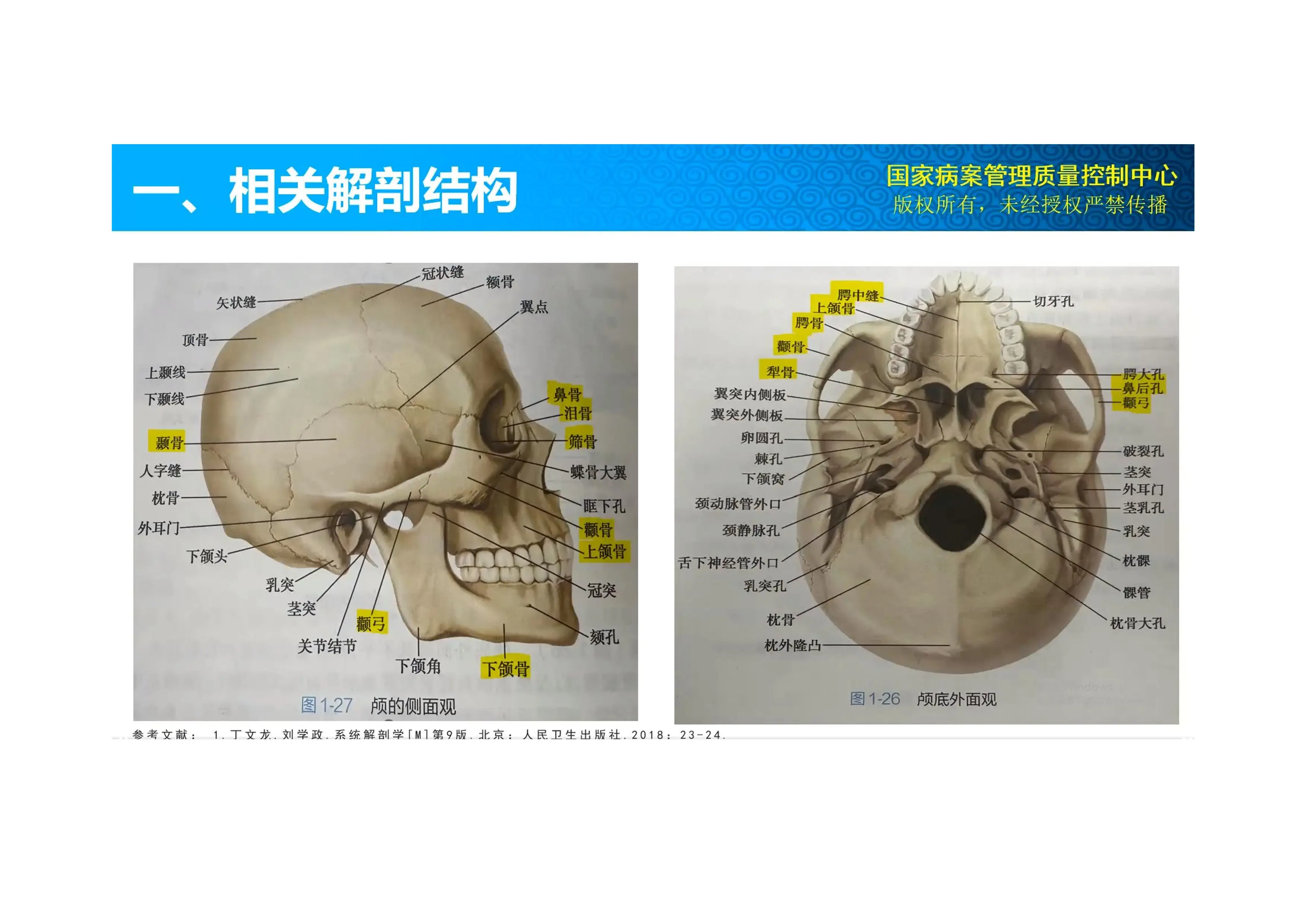 疑难编码：Lefort手术编码.pdf_第2页