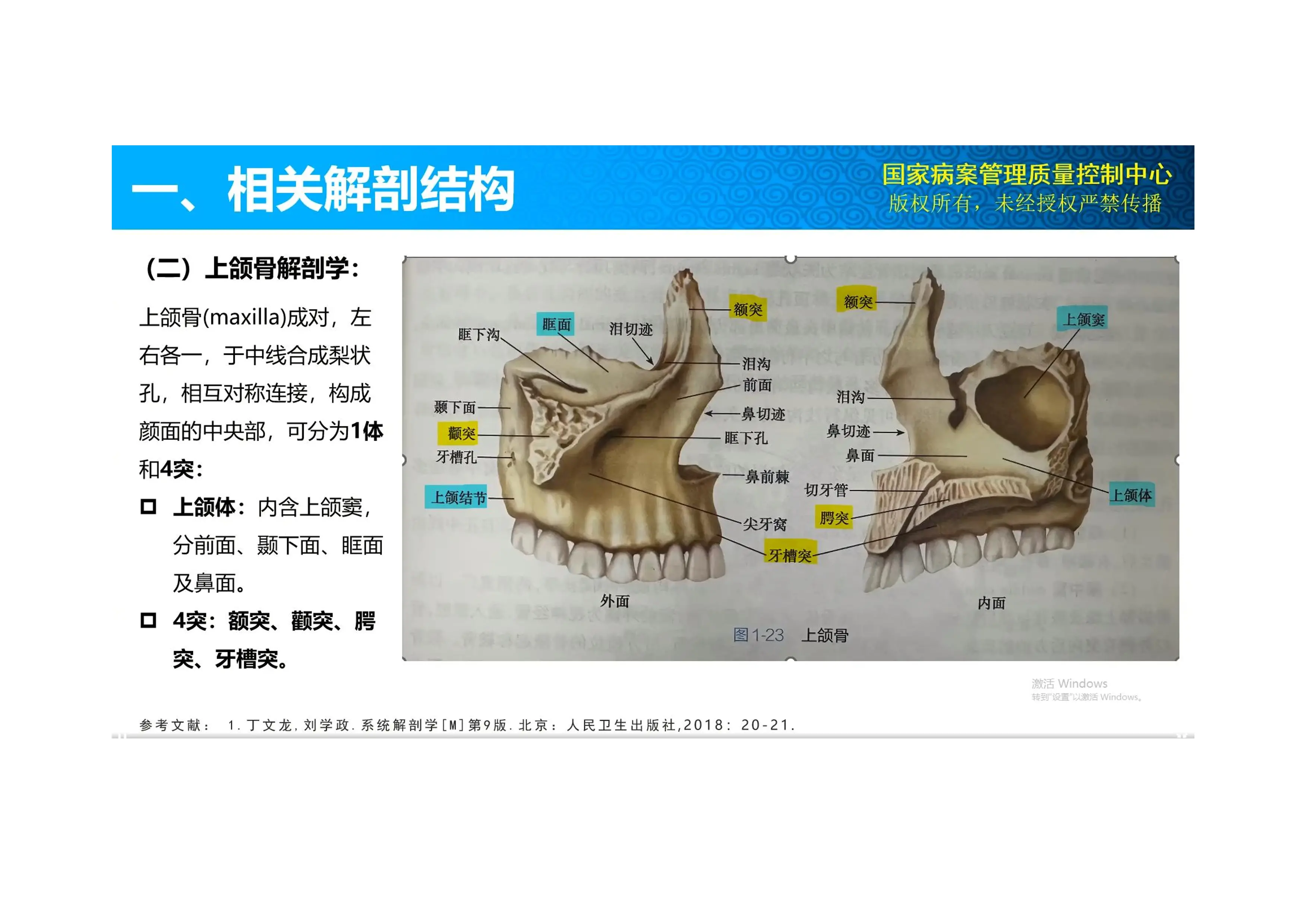 疑难编码：Lefort手术编码.pdf_第3页