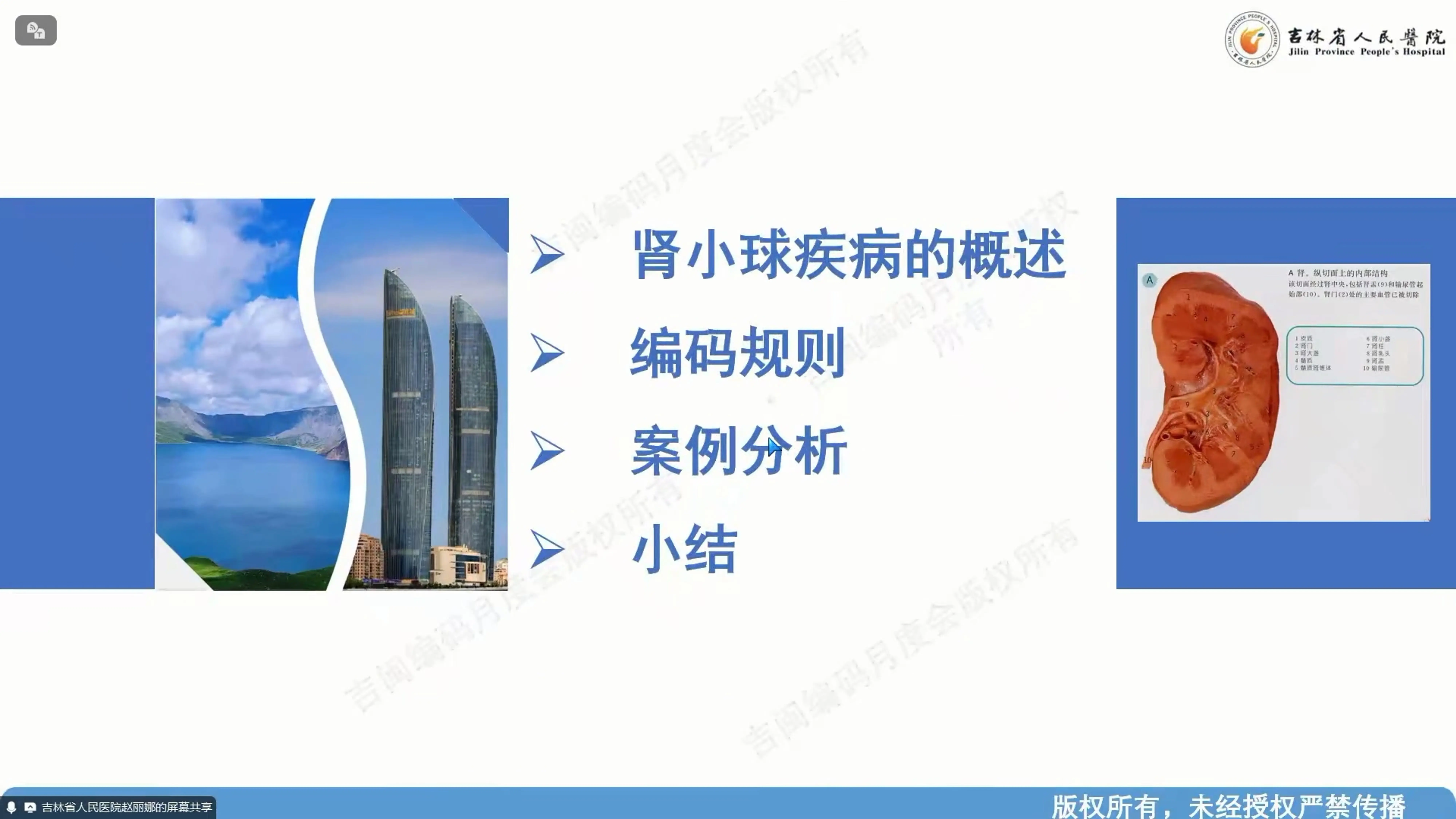 肾小球疾病的编码讨论.pdf_第2页