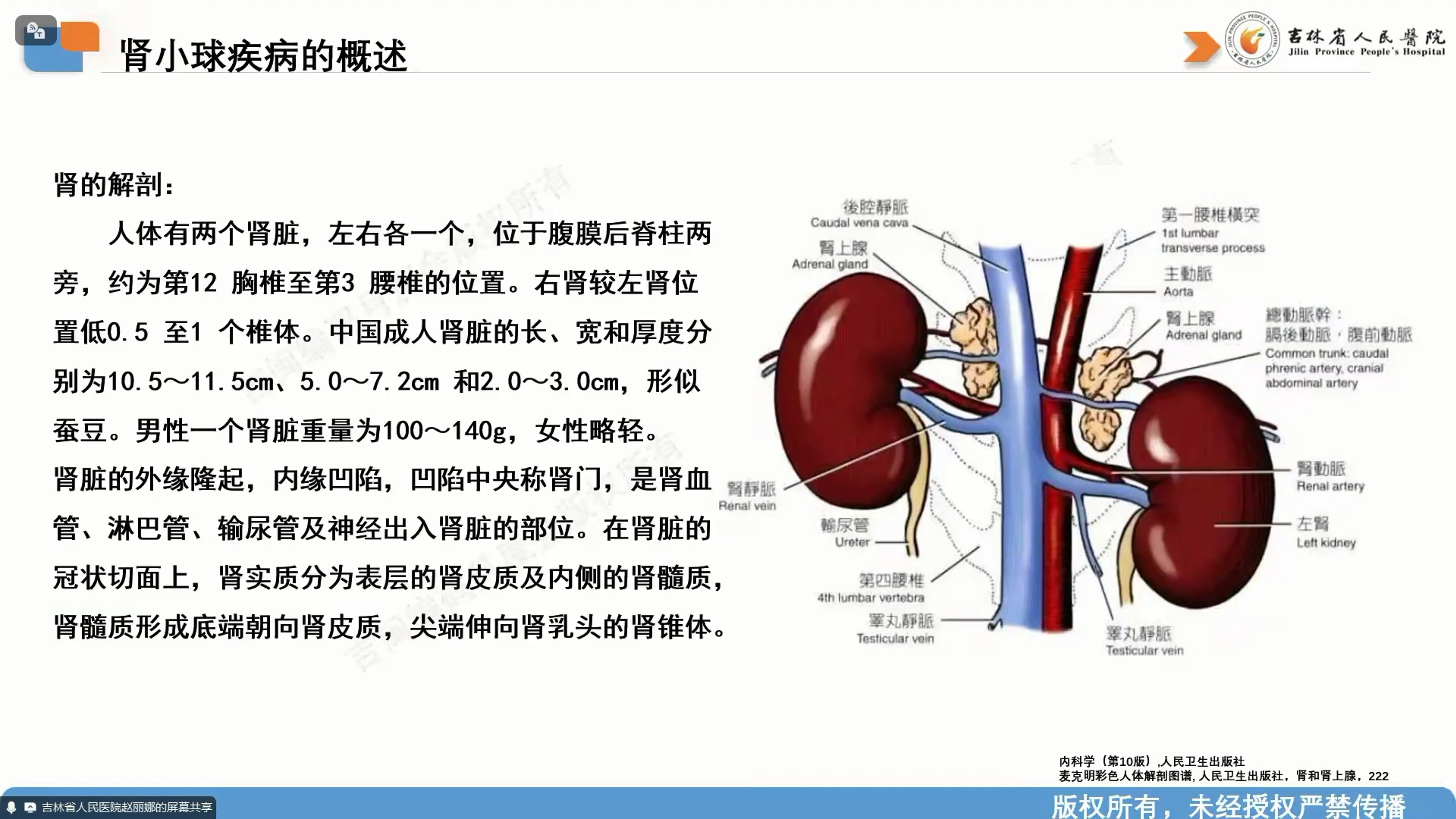 肾小球疾病的编码讨论.pdf_第3页