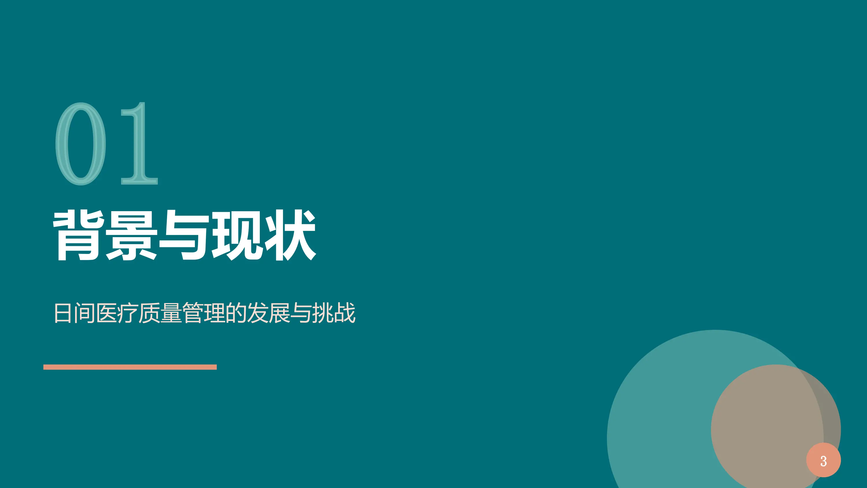 2026年日间医疗质量控制指标体系讲解_第3页