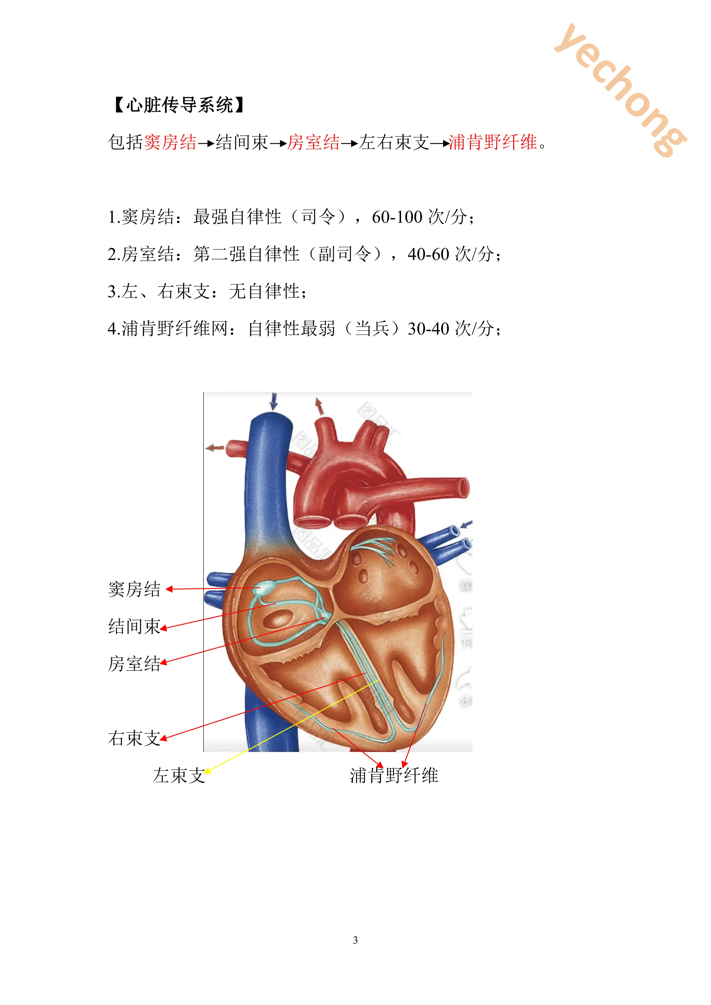 循环系统疾病的护理.pdf_第3页